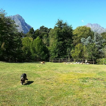 Glasshouse In The Winelands Stellenbosch Exterior photo