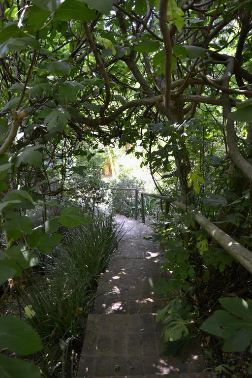 Glasshouse In The Winelands Stellenbosch Exterior photo