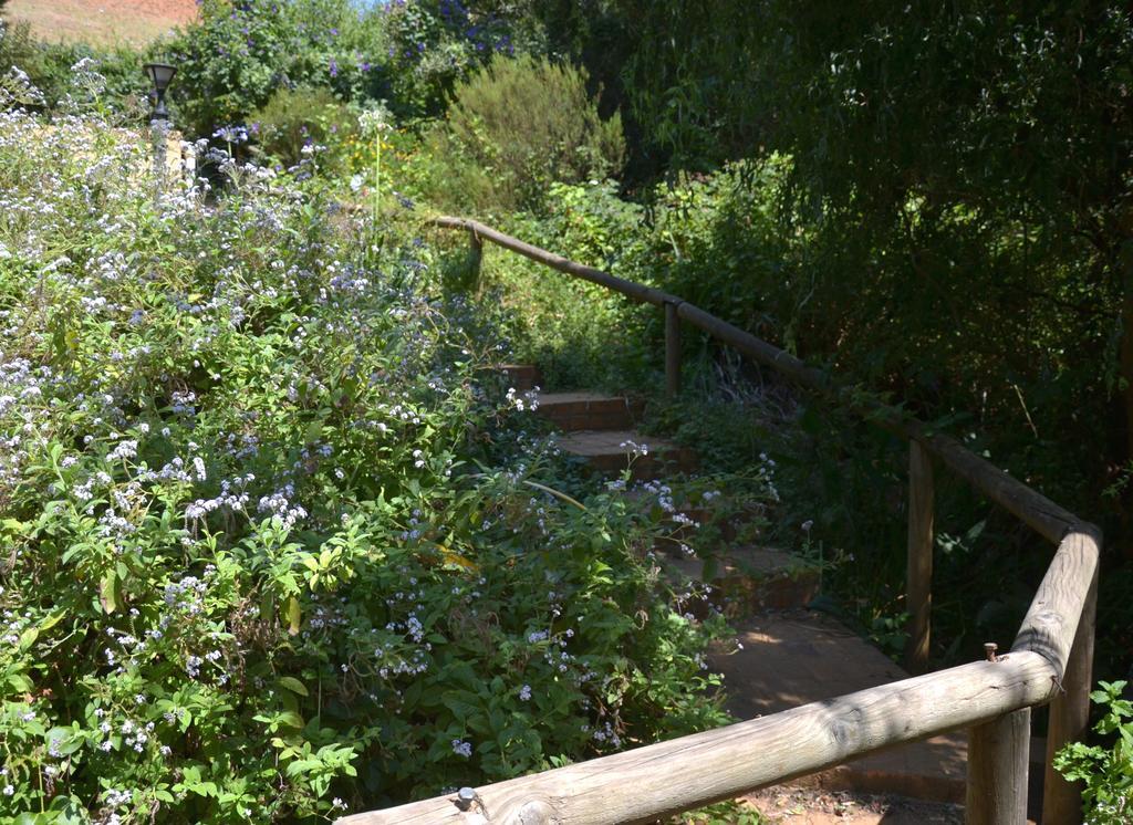 Glasshouse In The Winelands Stellenbosch Exterior photo