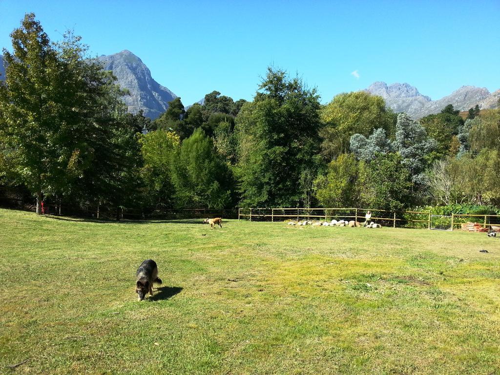 Glasshouse In The Winelands Stellenbosch Exterior photo